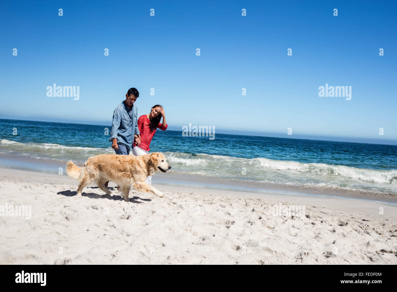 Cute couple marcher leur chien Banque D'Images