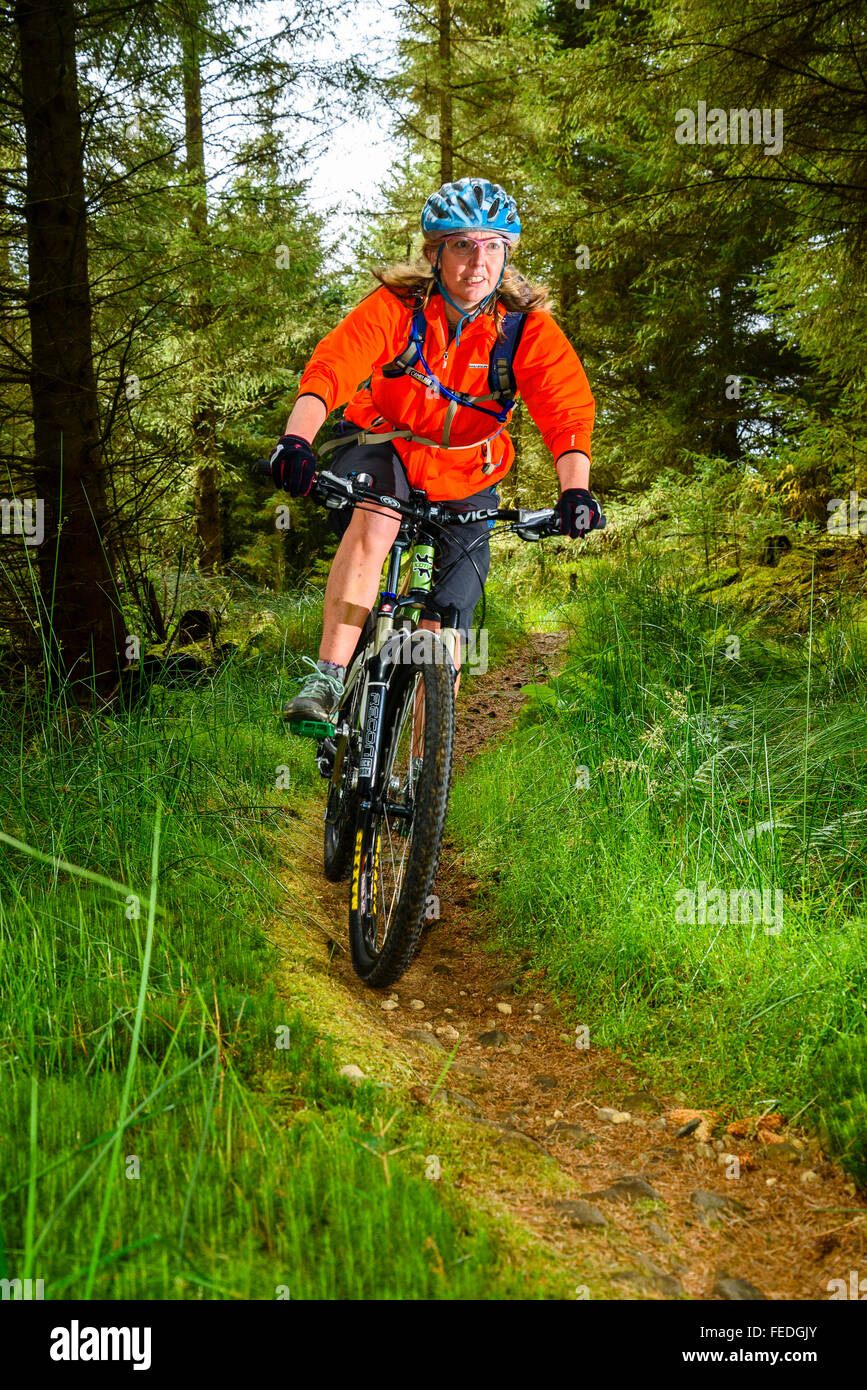 Du vélo de montagne sur Lonesome Pine Trail dans la forêt de Kielder Park Parc national de Northumberland Banque D'Images