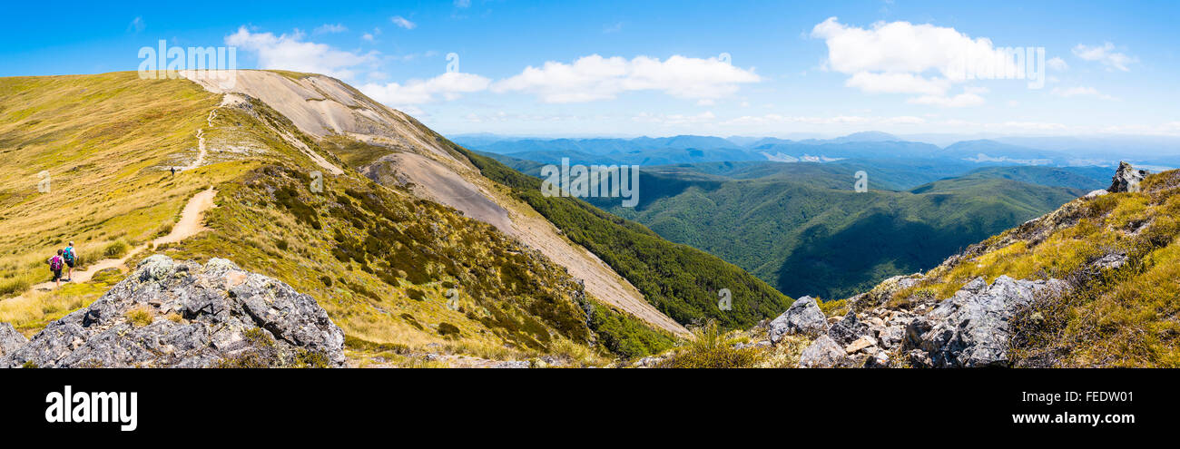 Panorama de Robert Ridge, au-dessus du lac Rotoiti dans Nelson Lakes National Park ile sud Nouvelle Zelande Banque D'Images