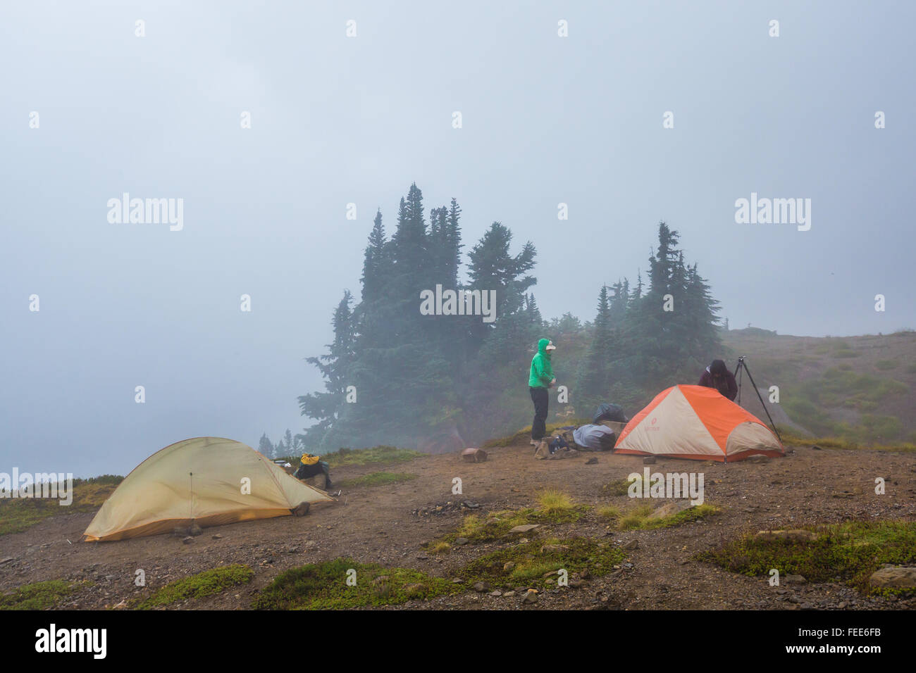 Backpackers on un matin brumeux au Camp Kiser le long de la crête de lagopède, Mount Baker-Snoqualmie National Forest, North Carolina, USA Banque D'Images