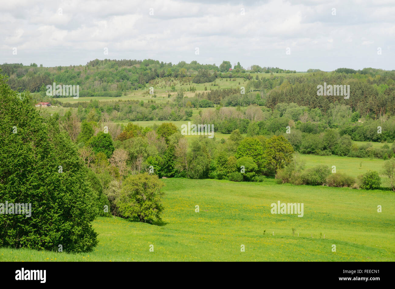 Terres agricoles de grande valeur naturelle de la vallée de l'Abava réserve naturelle Banque D'Images