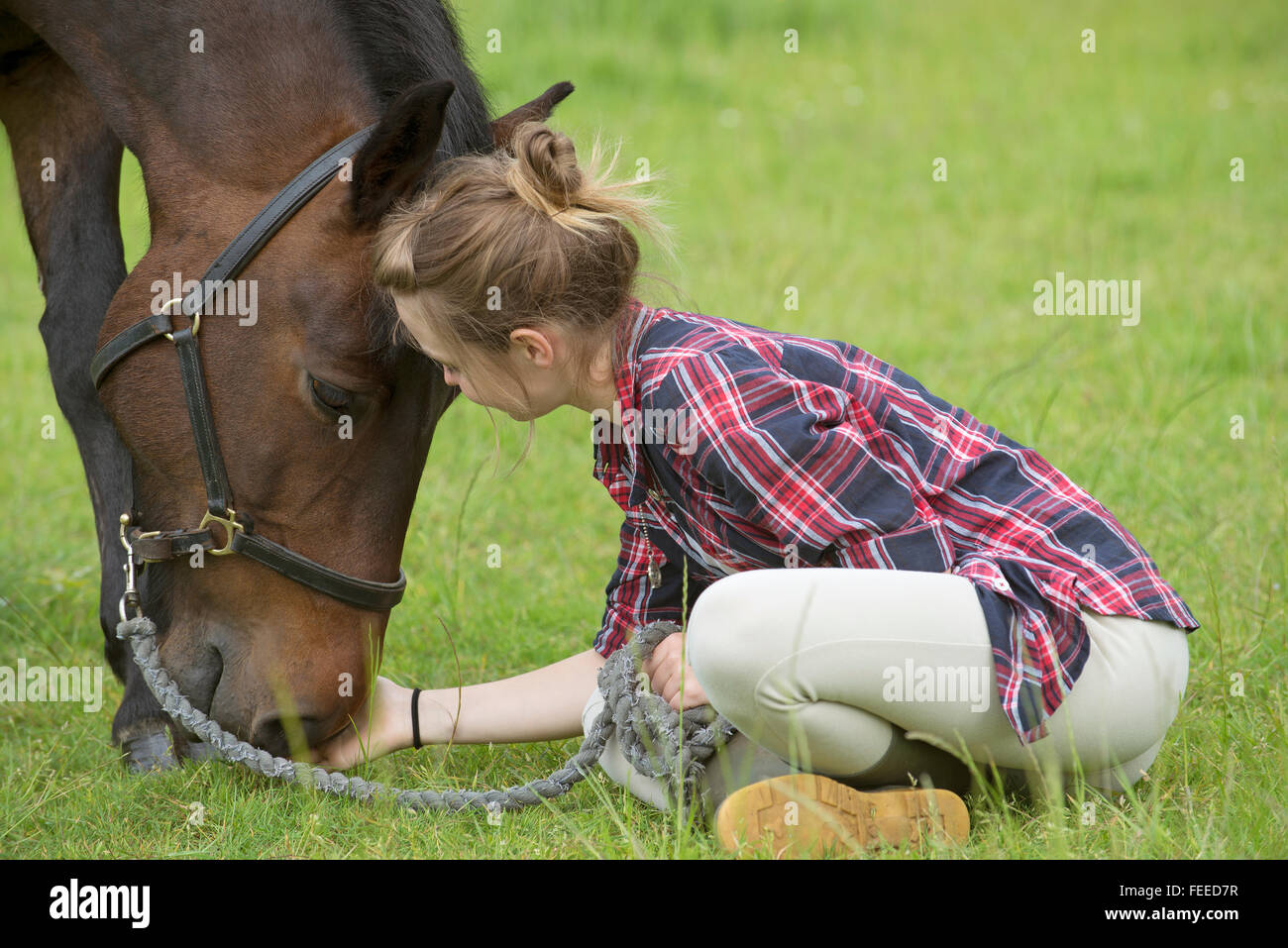 Portrait of a Teenage girl sitting dans un champ avec son animal de compagnie pony Banque D'Images