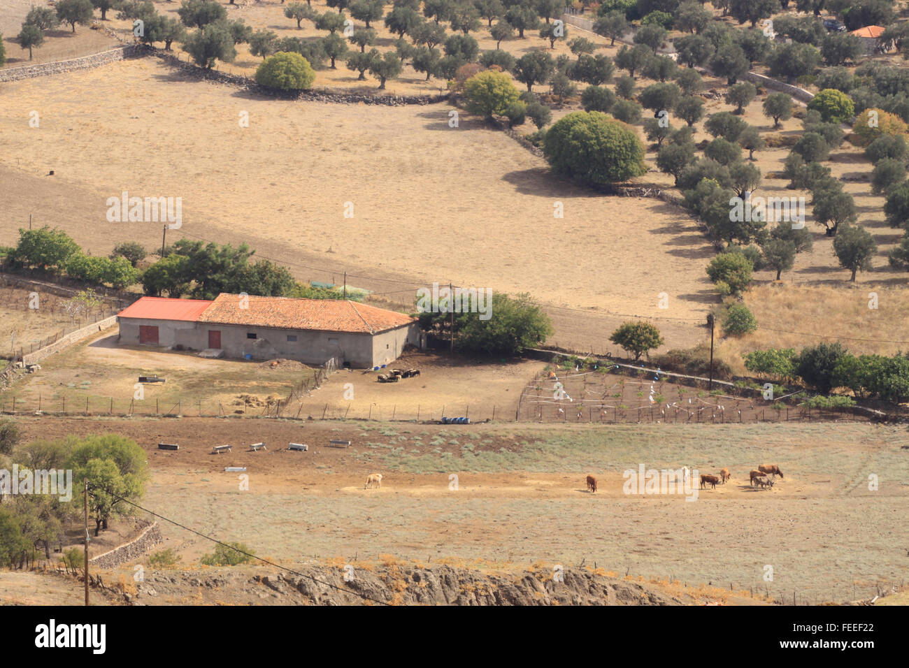 Paysage de Molyvos et sur l'île grecque de Lesbos Banque D'Images