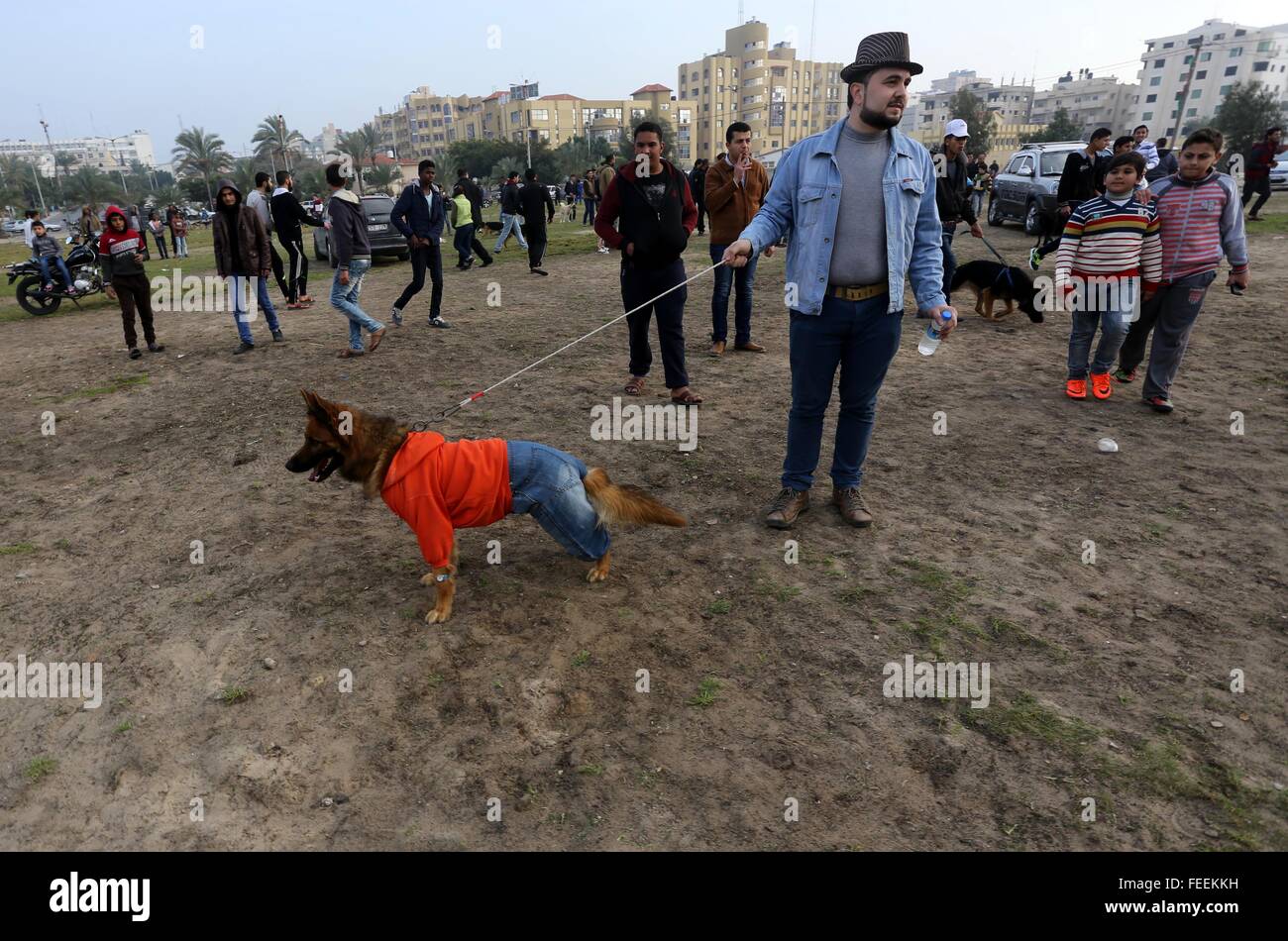 La ville de Gaza, bande de Gaza, territoire palestinien. Feb, 2016 5. Les Palestiniens montrent leurs chiens au cours de la première exposition canine organisées par les éleveurs de chiens, dans la ville de Gaza le 5 février 2016. Annonces suivantes sur les médias sociaux pour les propriétaires de chiens à prendre part, plus de trente espèces différentes ont été portées à l'exposition visant à encourager l'élevage de chiens © Mohammed Asad APA/Images/ZUMA/Alamy Fil Live News Banque D'Images