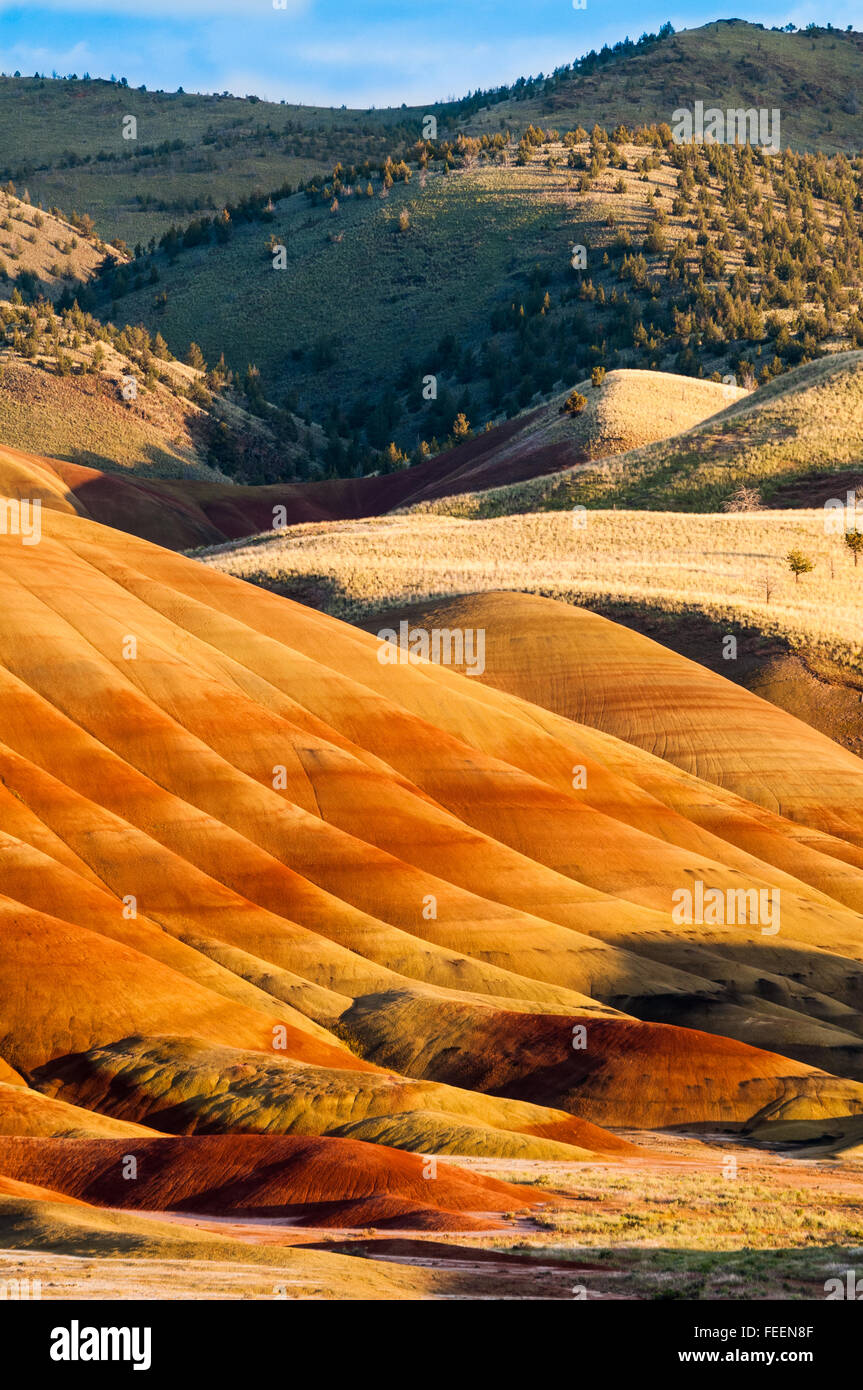 Le soleil qui s'allume le Painted Hills à la John Day Fossil d'appoint. De l'Oregon, USA. Banque D'Images