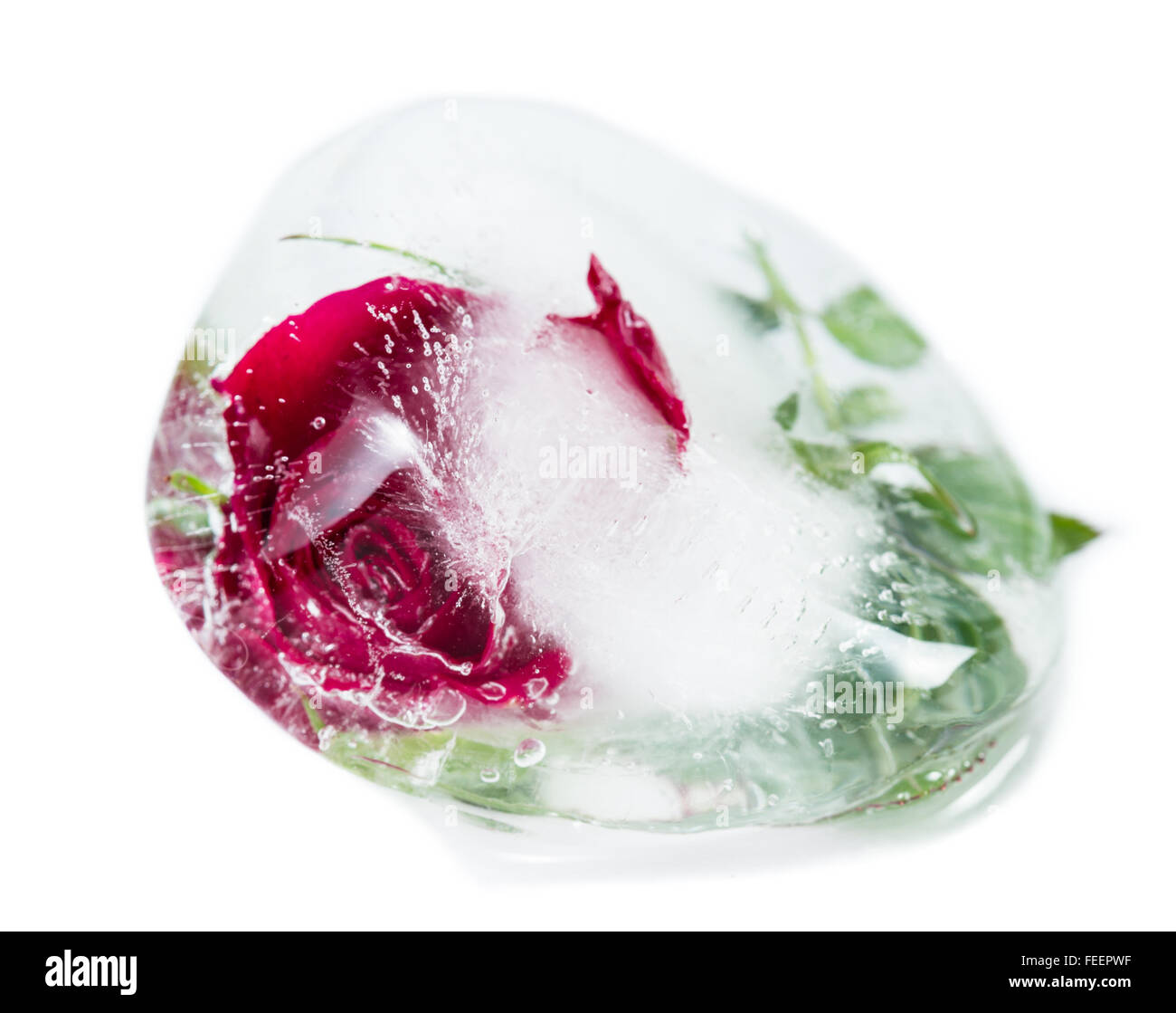 Gros plan d'une petite rose rouge congelé dans un cube de glace l'ajout de belles lignes et de bulles à l'aide de l'élément artistique avec distorsion Banque D'Images
