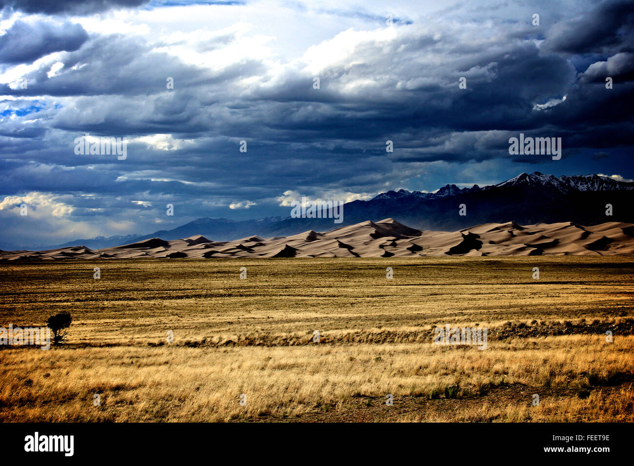 Tempête au Great Sand Dunes National Park Colorado Banque D'Images