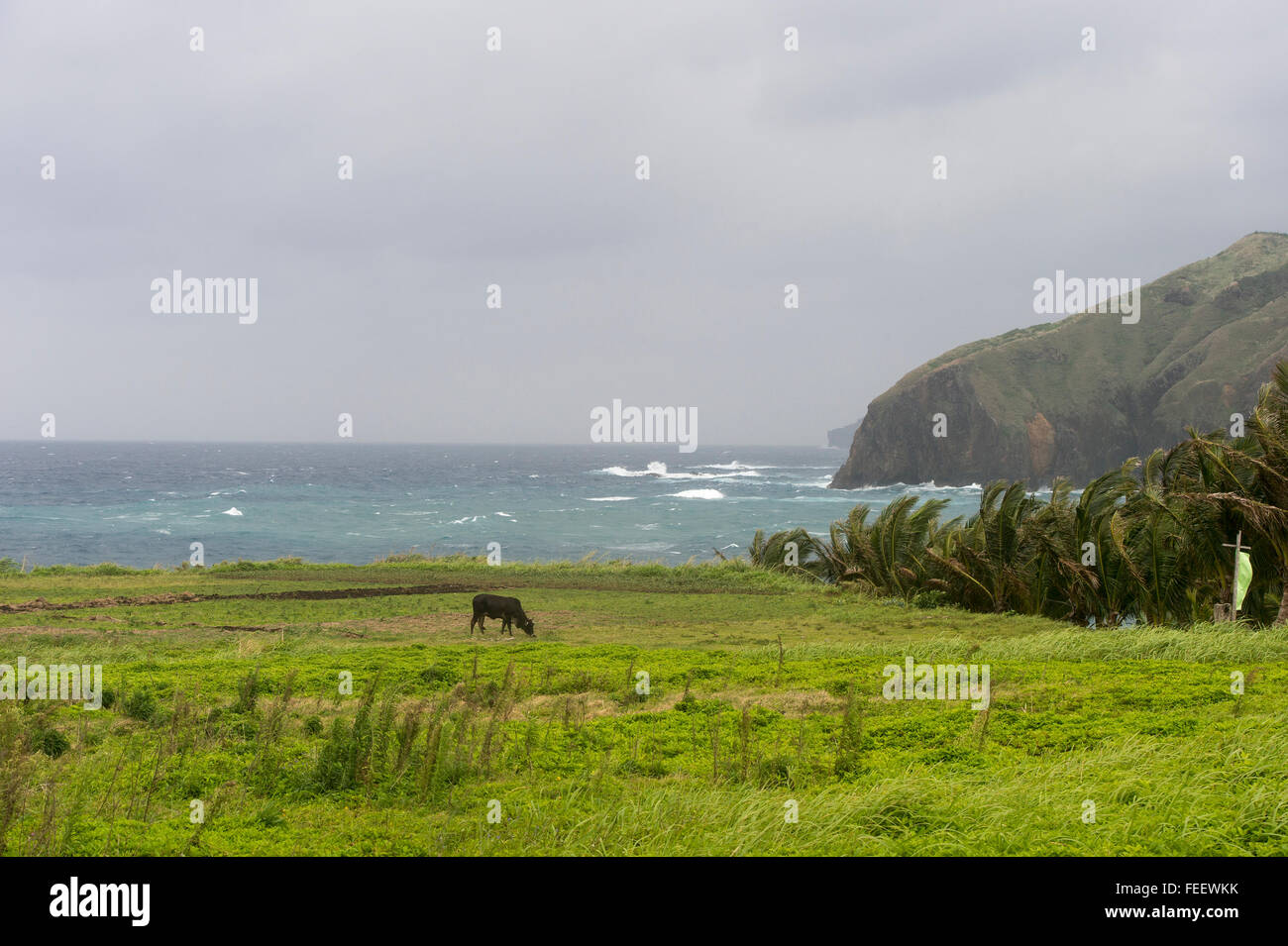 La partie de Batanes Ile située à Philippines au cours de la saison de mousson. Banque D'Images