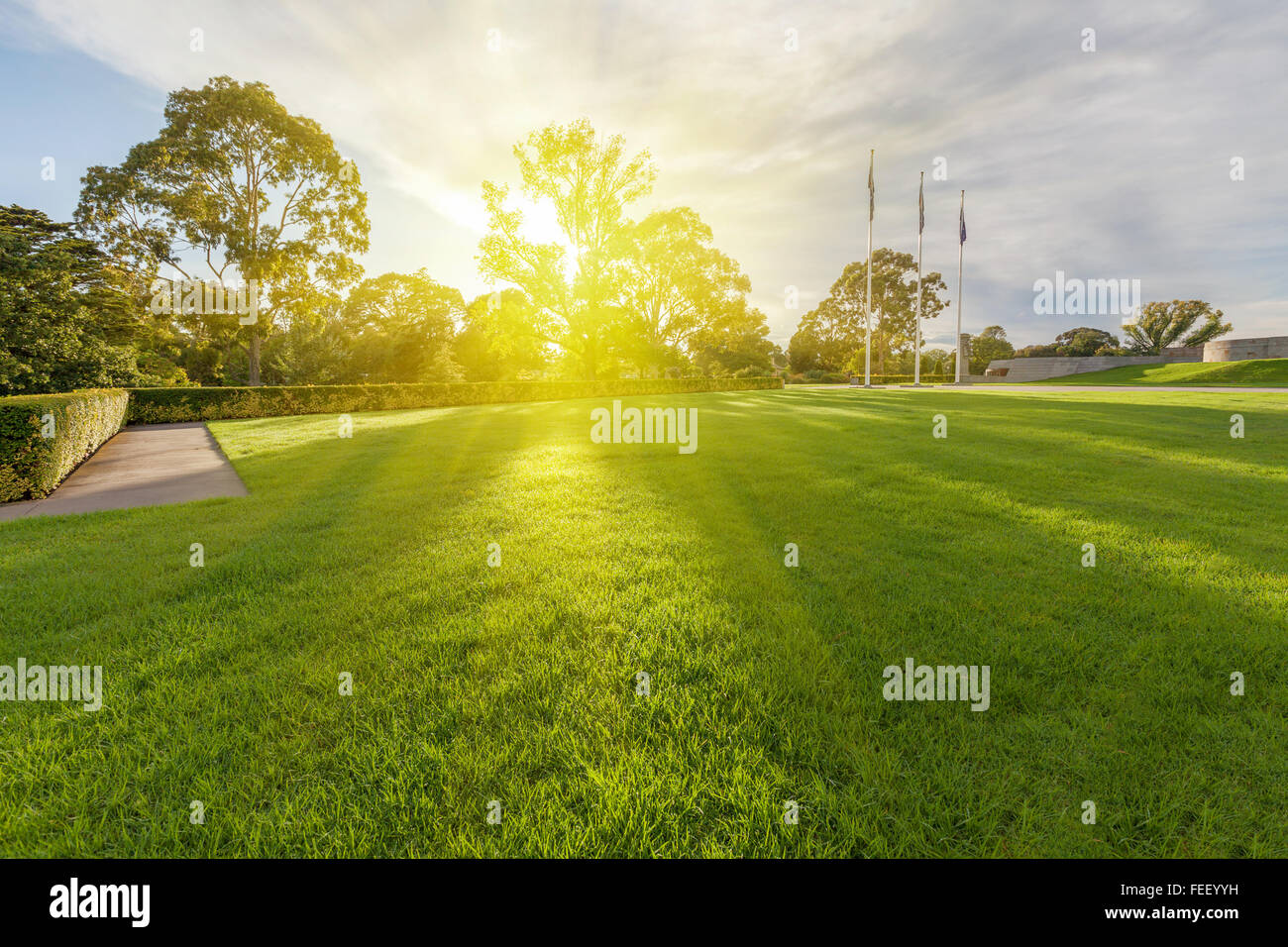 Pelouse humide avec lever du soleil brillant à travers les arbres en arrière-plan, et trois mâts avec drapeaux australiens. Banque D'Images