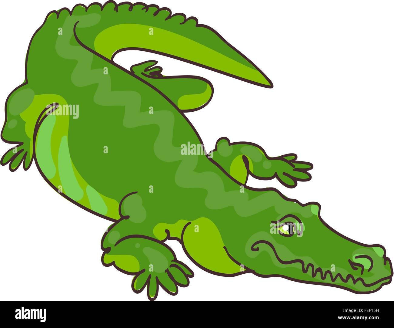 Crocodile Vert Dans Un Style De Dessin Animé Vecteurs Et
