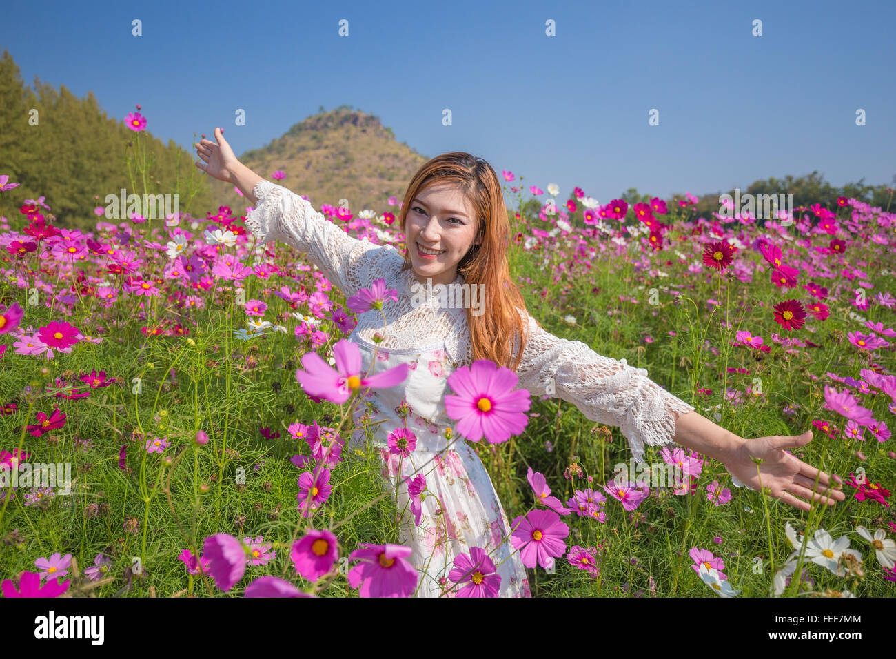 Belle Femme Avec Le Champ De Fleurs Cosmos Photo Stock Alamy