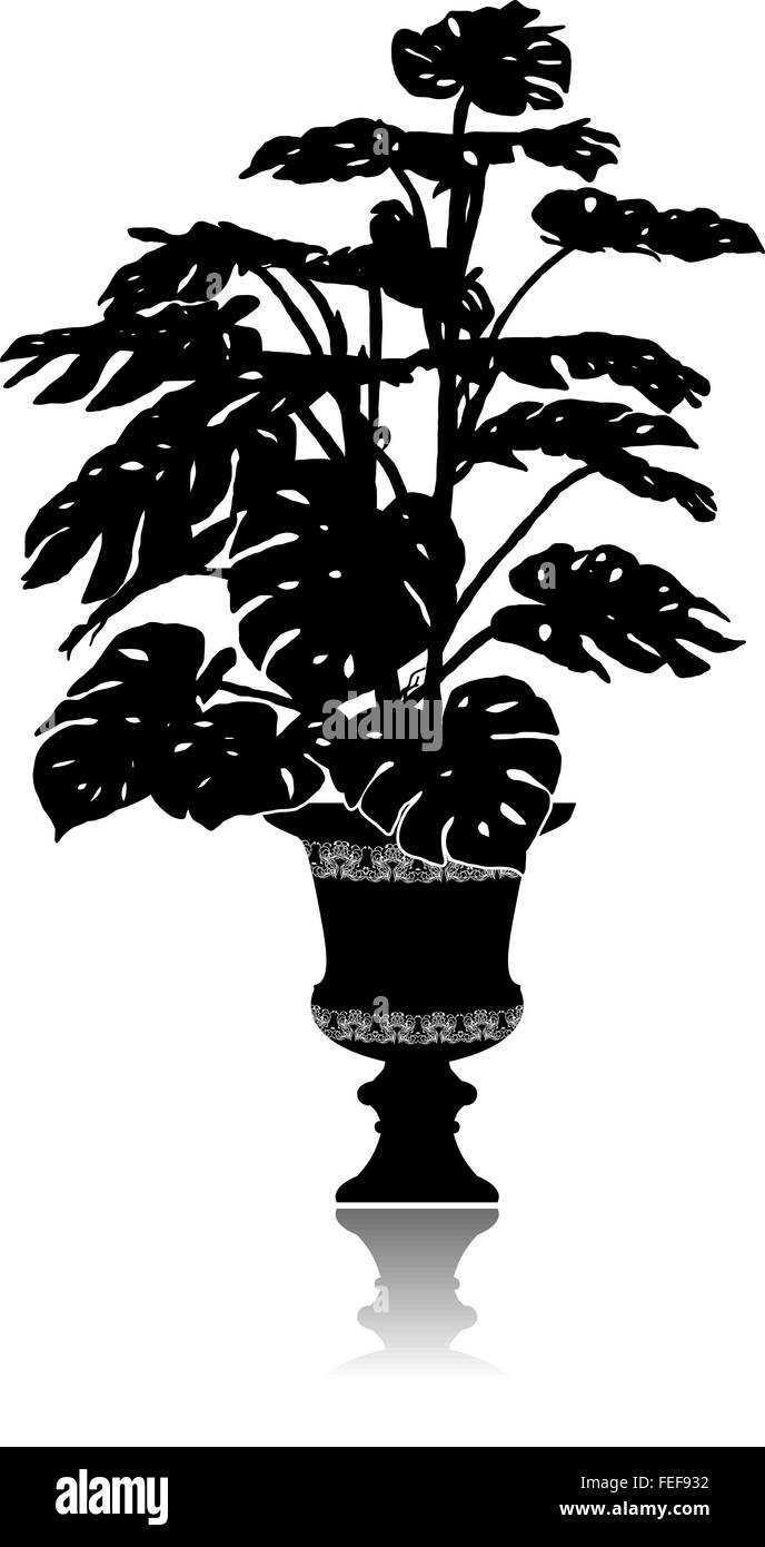Monstera dans un pot de fleurs Illustration de Vecteur