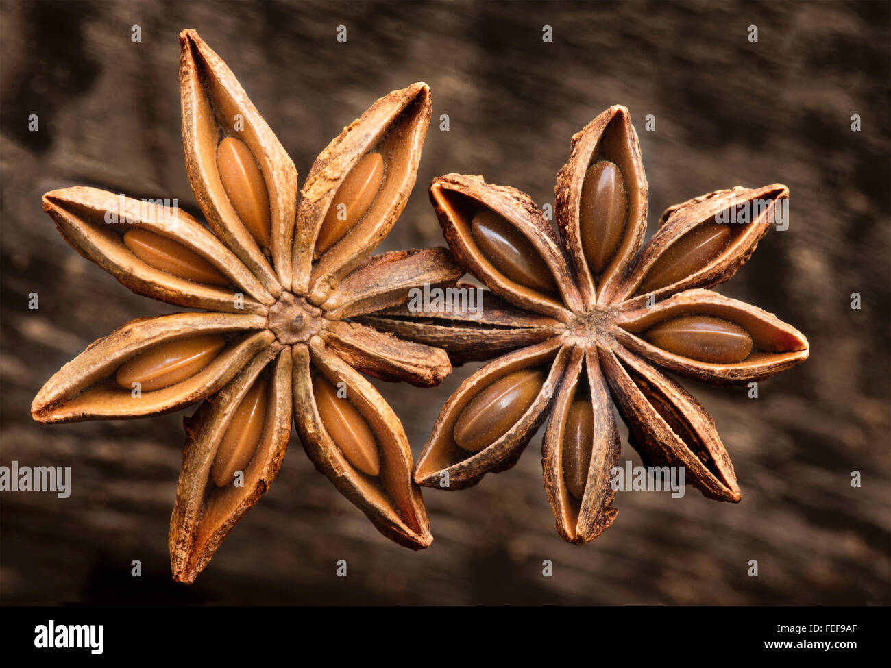 Macro photo de deux étoiles d'anis isolé sur un fond texturé rustique brun montrant graines à l'intérieur Banque D'Images