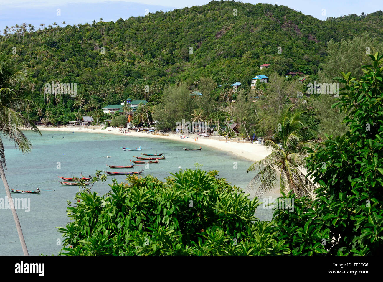 Bateaux à longue queue a Koh Phangan Thaïlande Salade Banque D'Images
