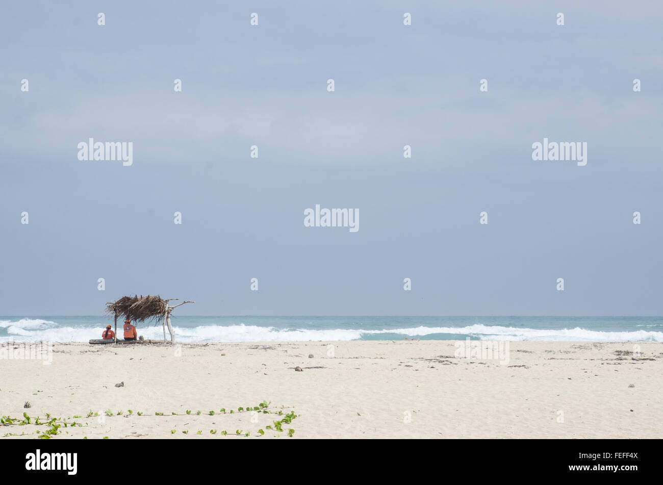 Plage dans le Parc National Tayrona sur la côte caraïbe de Colombie Banque D'Images