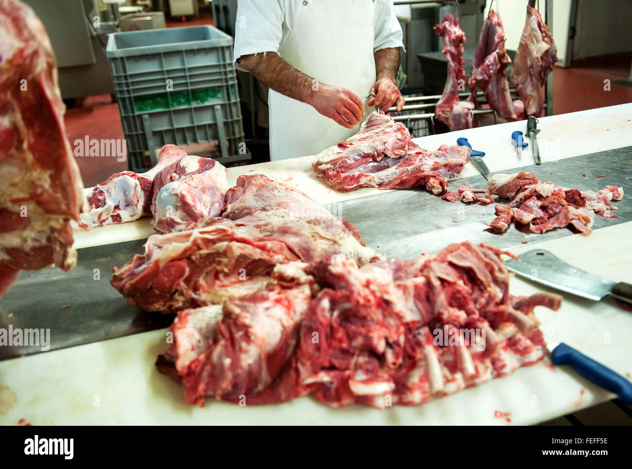 Butcher travaillant dans une boucherie derrière une longue table Banque D'Images