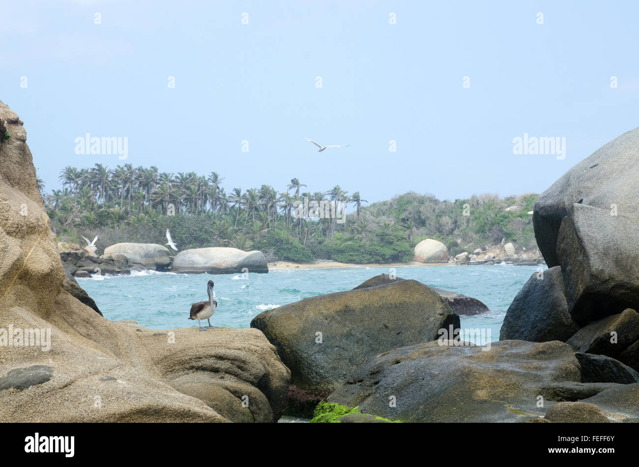 Plage dans le Parc National Tayrona sur la côte caraïbe de Colombie Banque D'Images