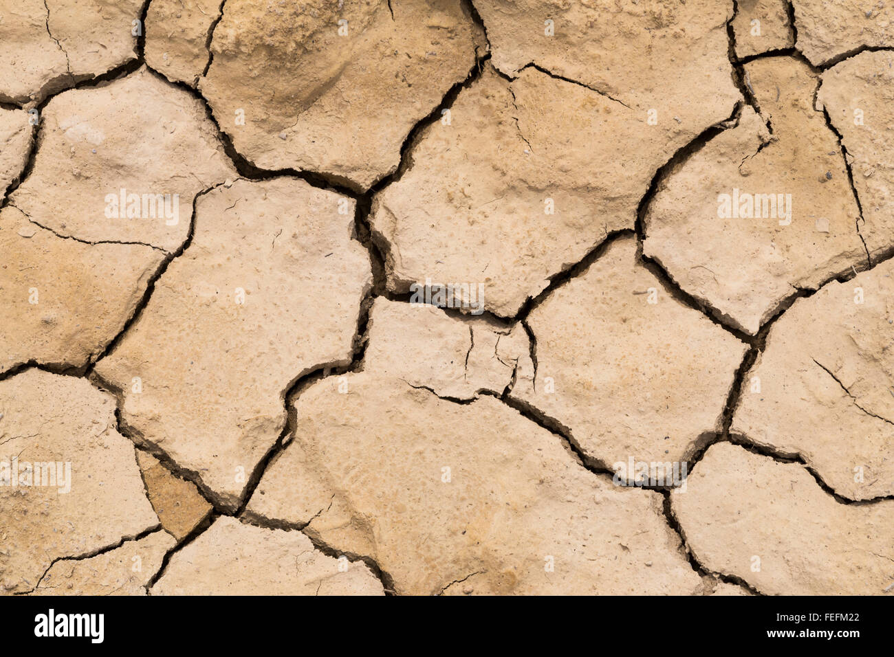 La texture de la terre craquelée à sec Banque D'Images