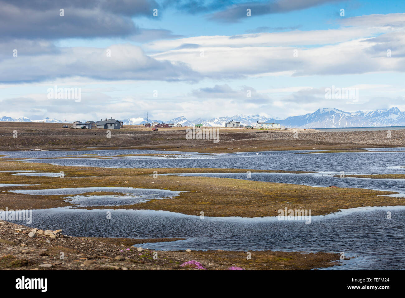 La toundra arctique en été, Svalbard, Norvège Banque D'Images