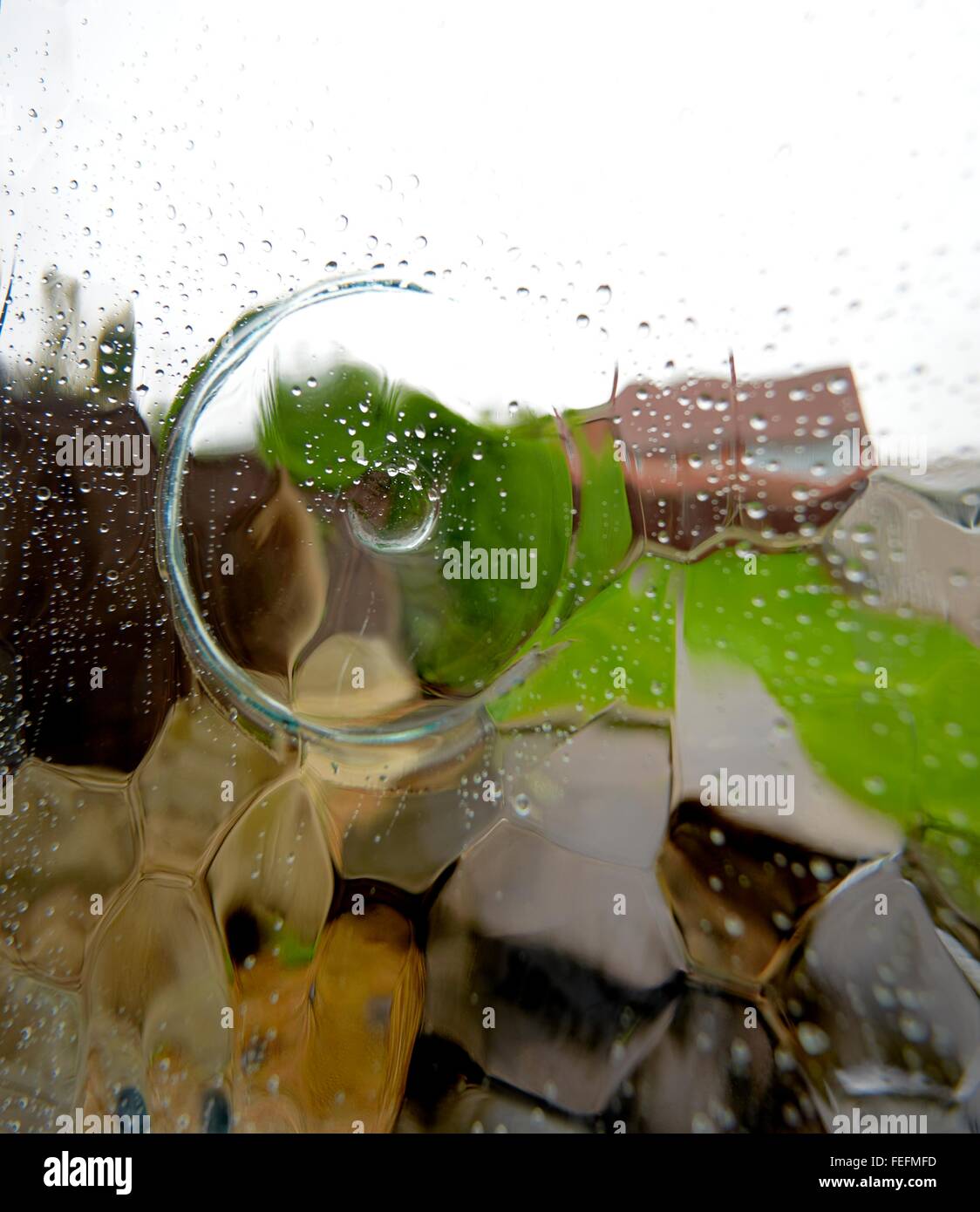 Gouttes de pluie sur une vitre de porte donnant sur un jardin arrière au Royaume-Uni Banque D'Images