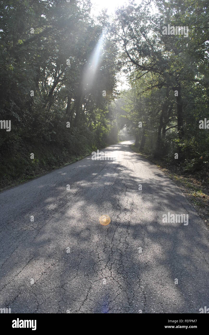 Route de campagne italienne soleil arbres Locanda Valle Nuova Fermignano Italie Banque D'Images