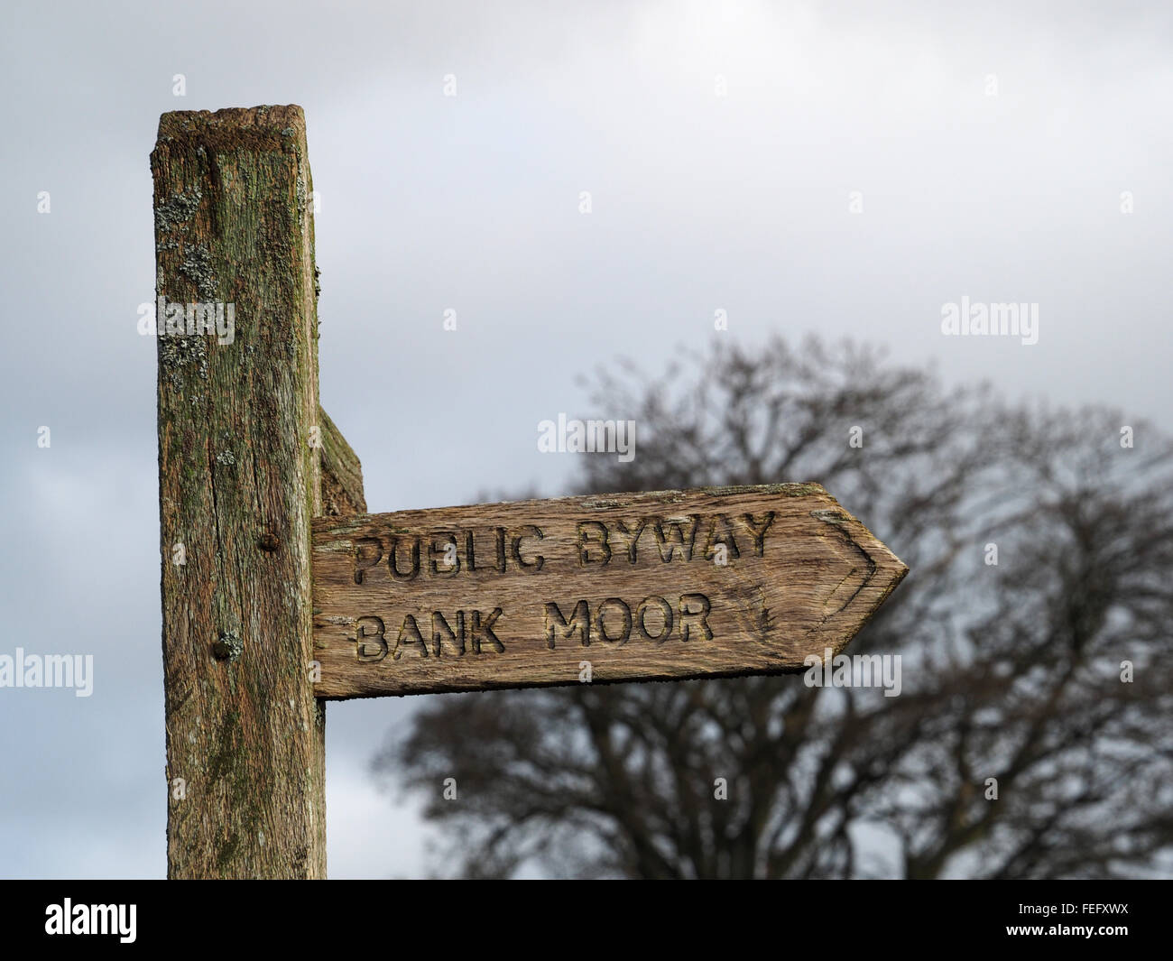 Panneau en bois indiquant de droit de passage avec silhouette d'hiver arbre mature en arrière-plan Banque D'Images