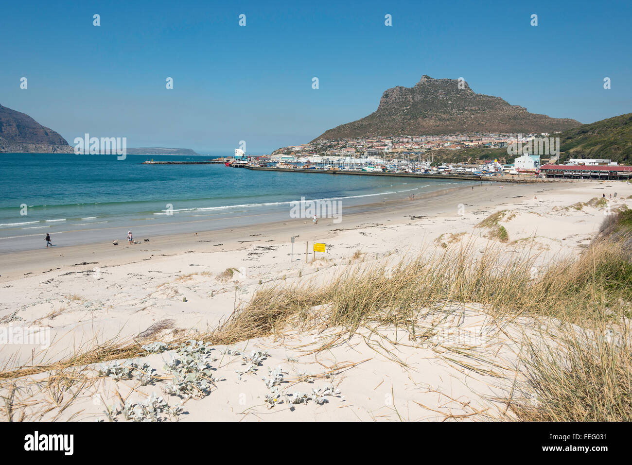 Hout Bay, plage de Hout Bay, péninsule du Cap, ville du Cap, dans l'ouest de la municipalité de la Province du Cap, Afrique du Sud Banque D'Images