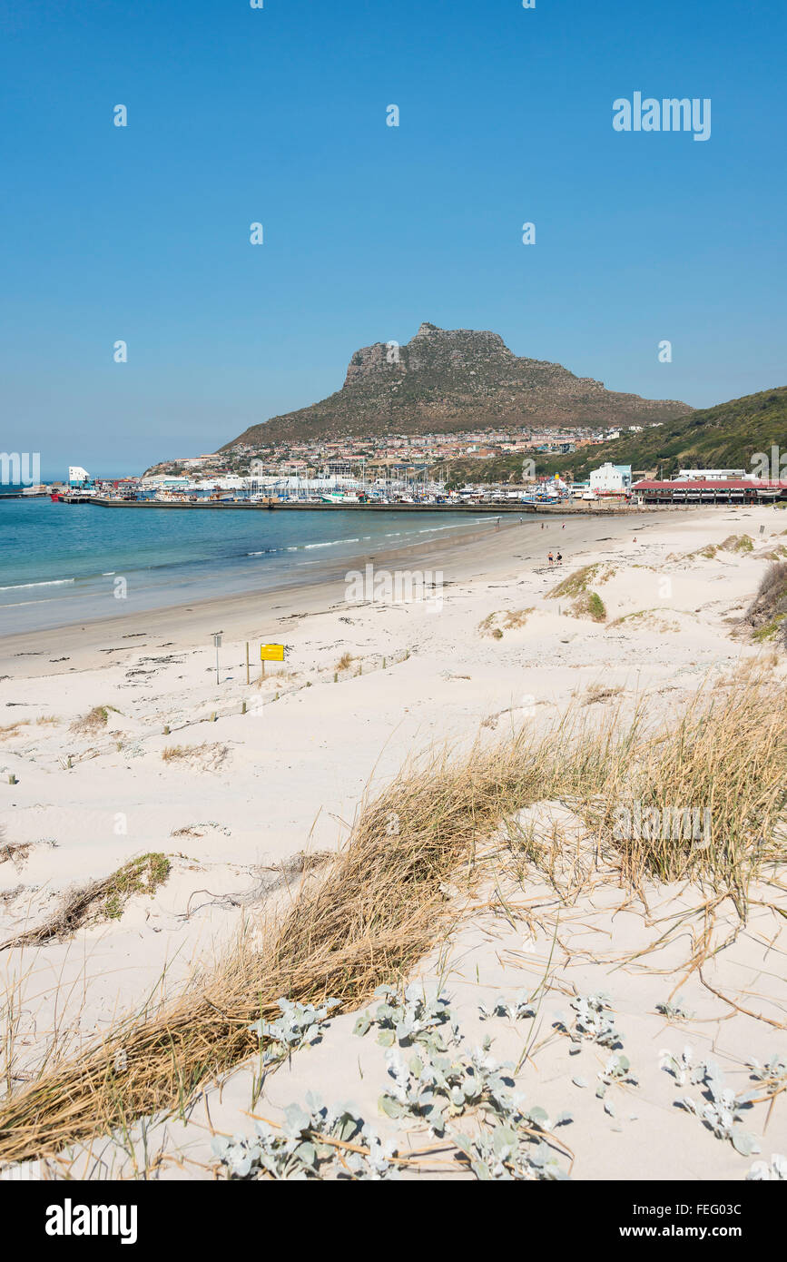 Hout Bay, plage de Hout Bay, péninsule du Cap, ville du Cap, dans l'ouest de la municipalité de la Province du Cap, Afrique du Sud Banque D'Images