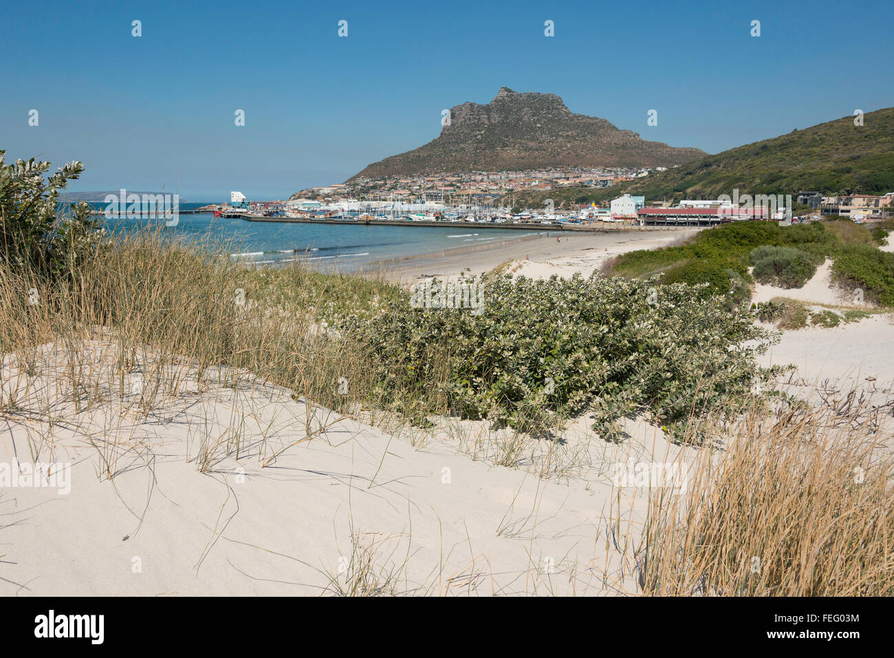 Hout Bay, plage de Hout Bay, péninsule du Cap, ville du Cap, dans l'ouest de la municipalité de la Province du Cap, Afrique du Sud Banque D'Images