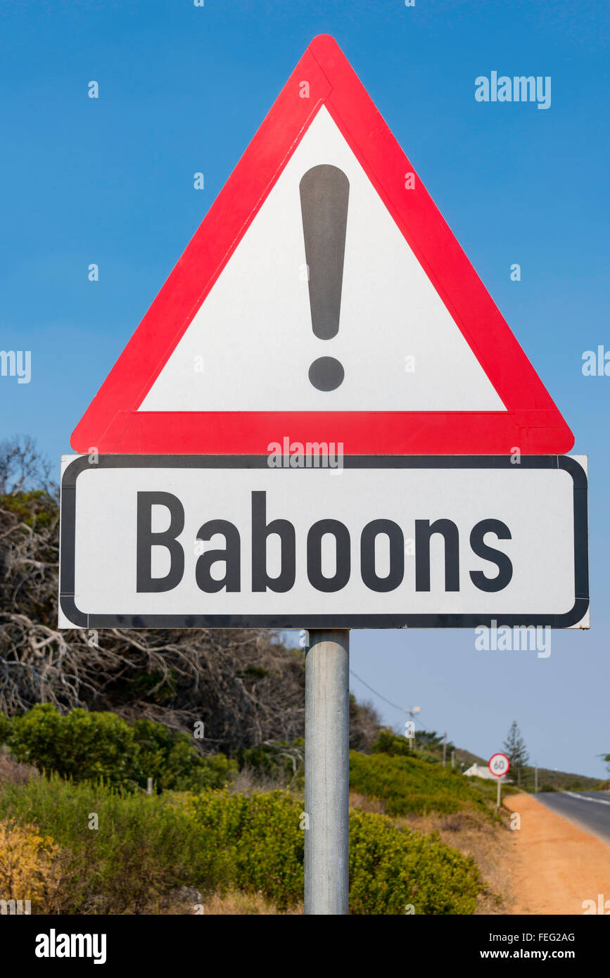 Panneau d'avertissement du babouin, péninsule du Cap, ville du Cap municipalité, province de Western Cape, Afrique du Sud Banque D'Images