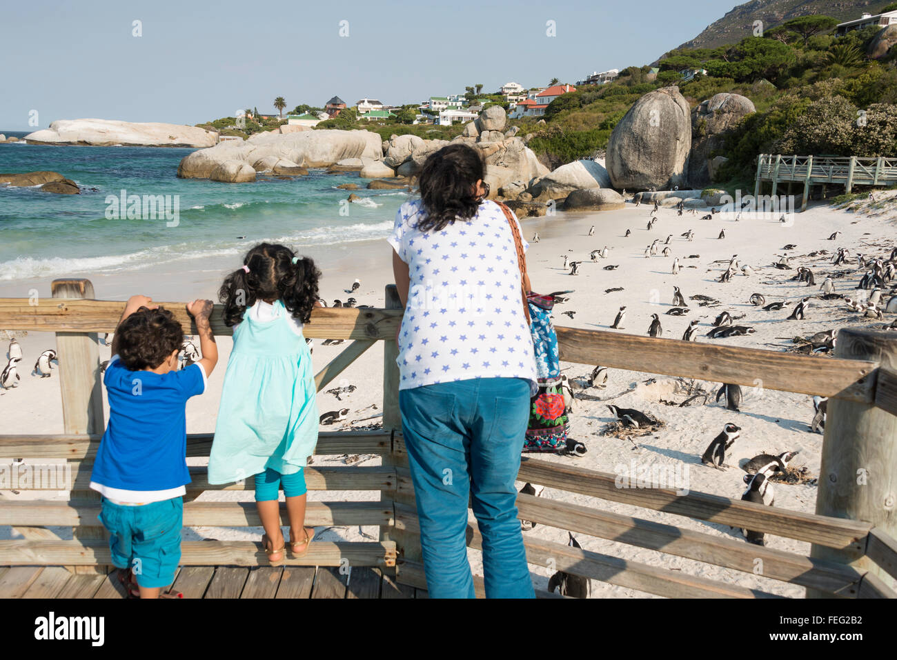 Plate-forme d'observation pour les pingouins africains sur la plage de Boulders, Simon's Town, péninsule du Cap, Province de Western Cape, Afrique du Sud Banque D'Images