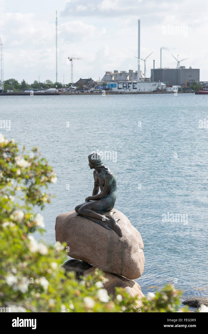 Statue de la petite Sirène (Den Lille Havfrue), Langelinie, Copenhague (Kobenhavn), Royaume du Danemark Banque D'Images