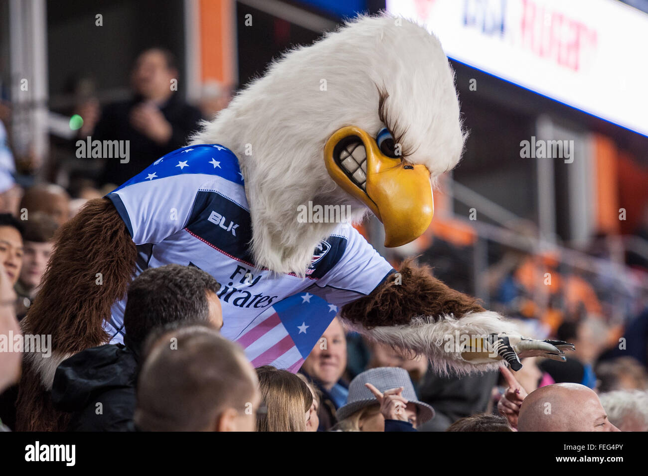 Houston, TX, USA. Feb 6, 2016. Les USA Eagle mascot célèbre avec les fans durant la 1ère moitié d'un match de rugby entre l'Argentine et des États-Unis dans les Amériques au Championnat de Rugby Stade BBVA Compass à Houston, TX.Trask Smith/CSM/Alamy Live News Banque D'Images