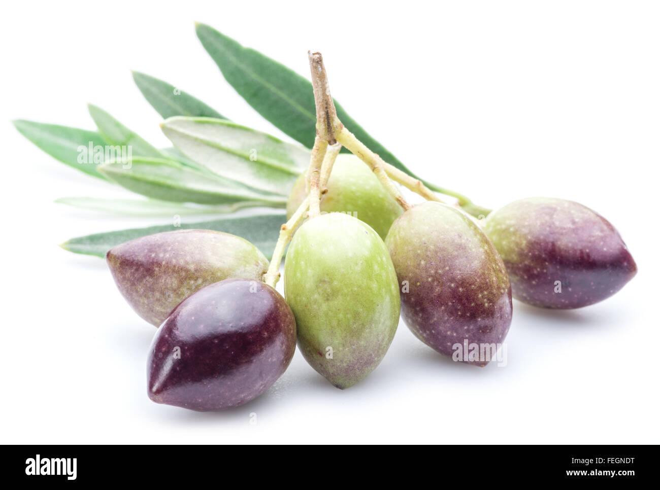 Olives fraîches avec des feuilles sur le fond blanc. Banque D'Images