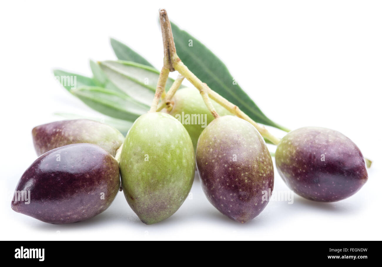 Olives fraîches avec des feuilles sur le fond blanc. Banque D'Images