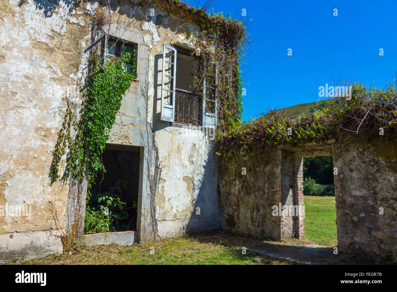 Grande maison en ruines abandonnées par la végétation Banque D'Images