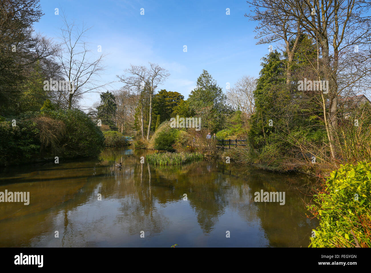 L'étang à Johnston Gardens dans la ville d'Aberdeen, Écosse, Royaume-Uni Banque D'Images