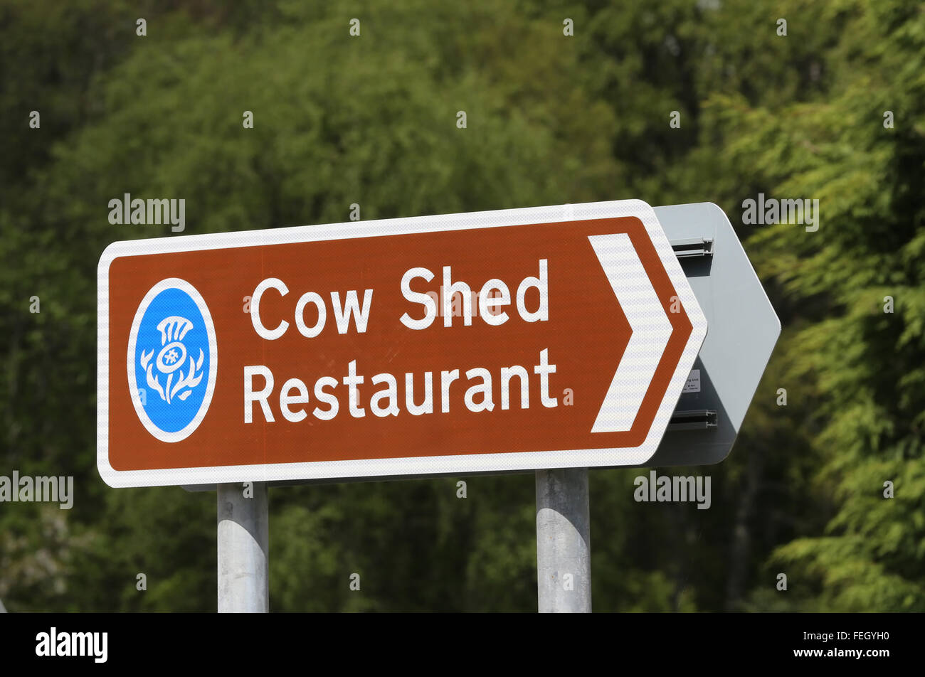 Signe pour Cow Shed restaurant près de Banchory, Aberdeenshire, Scotland, UK. Banque D'Images