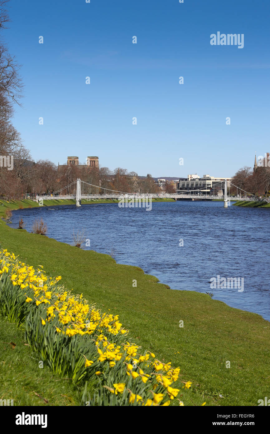 Jonquilles et passerelle pour piétons à côté de la rivière Ness dans la ville d'Inverness, dans les Highlands d'Ecosse, Royaume-Uni. Banque D'Images