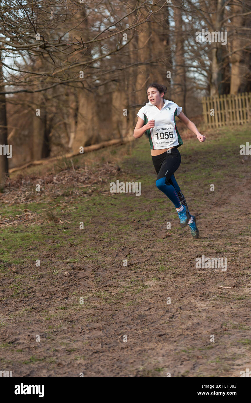 L'Assemblée Knole Run Sevenoaks School cross country mile run jeunes équipes en course d'endurance difficile course leader gagnant muddy Banque D'Images L'Assemblée Knole Run Sevenoaks School cross country mile run jeunes équipes en course d'endurance difficile course leader gagnant muddy Banque D'Images