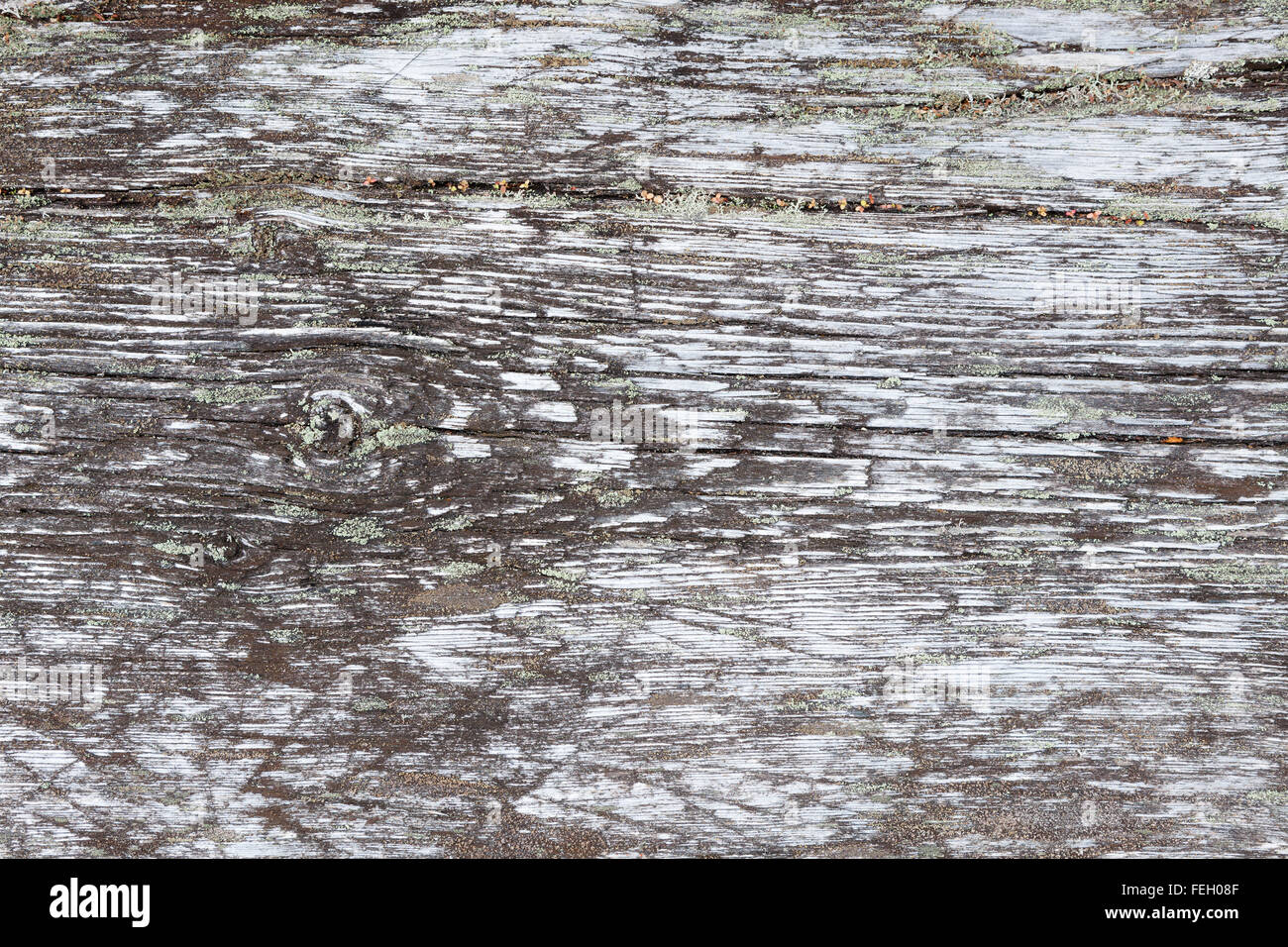 De gris naturel wood background Banque D'Images