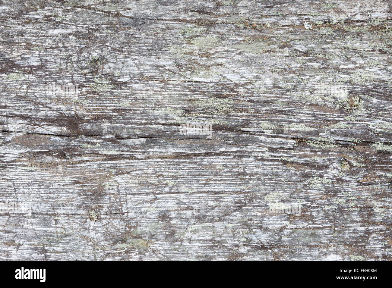 De gris naturel wood background Banque D'Images