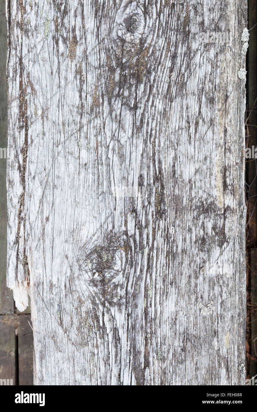 De gris naturel wood background Banque D'Images