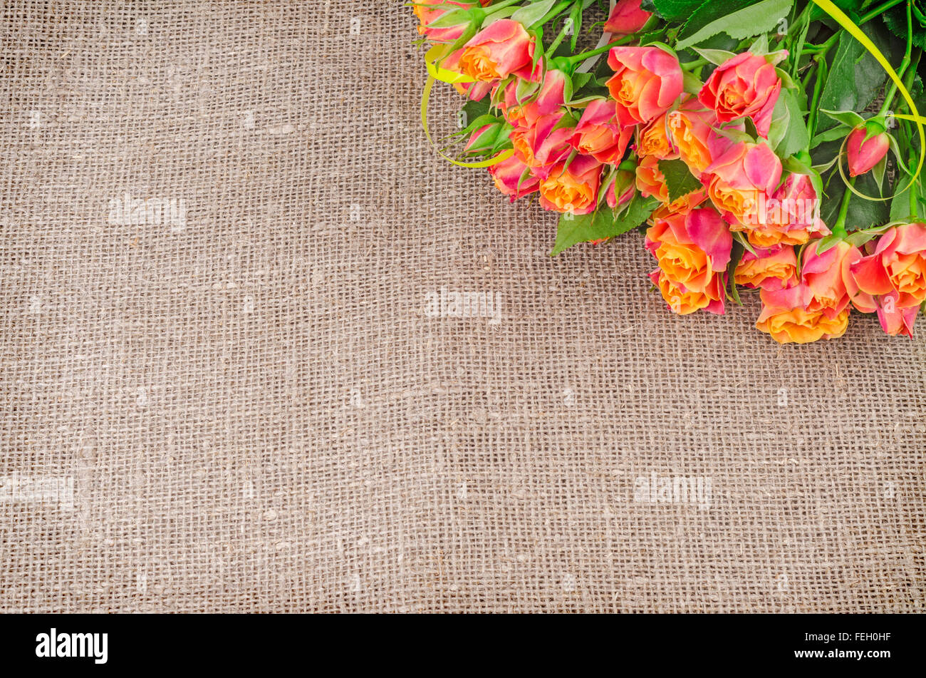 Bouquet de roses sur fond de jute rustique. Fleurs différentes. Arrière-plan de la toile de lin. Banque D'Images