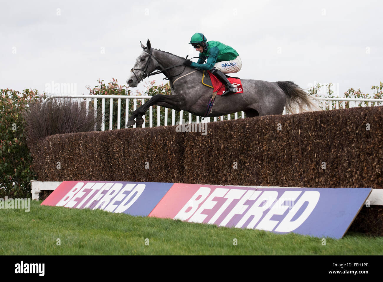 Sandown Park, Surrey, Royaume-Uni Le 6 février 2016 Bristol de Mai et Daryl Jacob dans les couleurs de Simon Munir effacer le fossé à ciel ouvert devant les stands sur la route pour gagner la télévision Betfred Îles Scilly Novices Chase Credit:Michael Stevens / Alamy News Banque D'Images