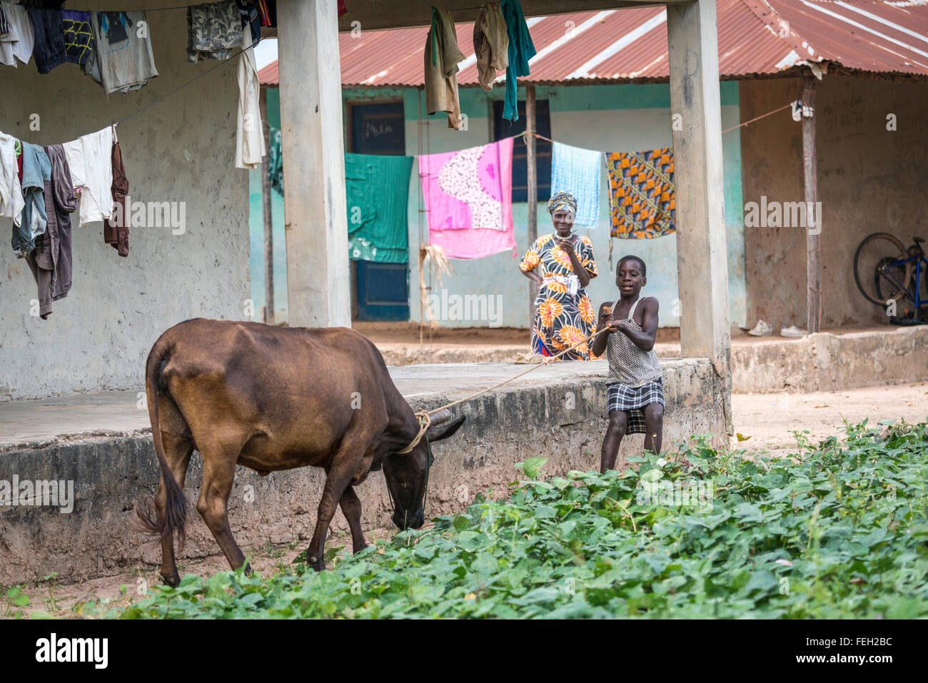 Une femme habillée de couleurs vives un garçon regarde un élevage amimal dans un village en Guinée Bissau Banque D'Images