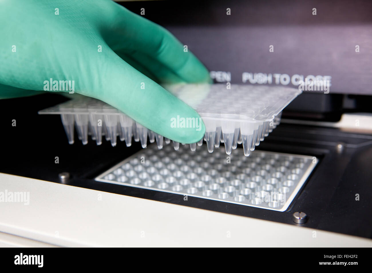 Gants vert, PCR, ADN cycleur thermique la copie, close shot Banque D'Images