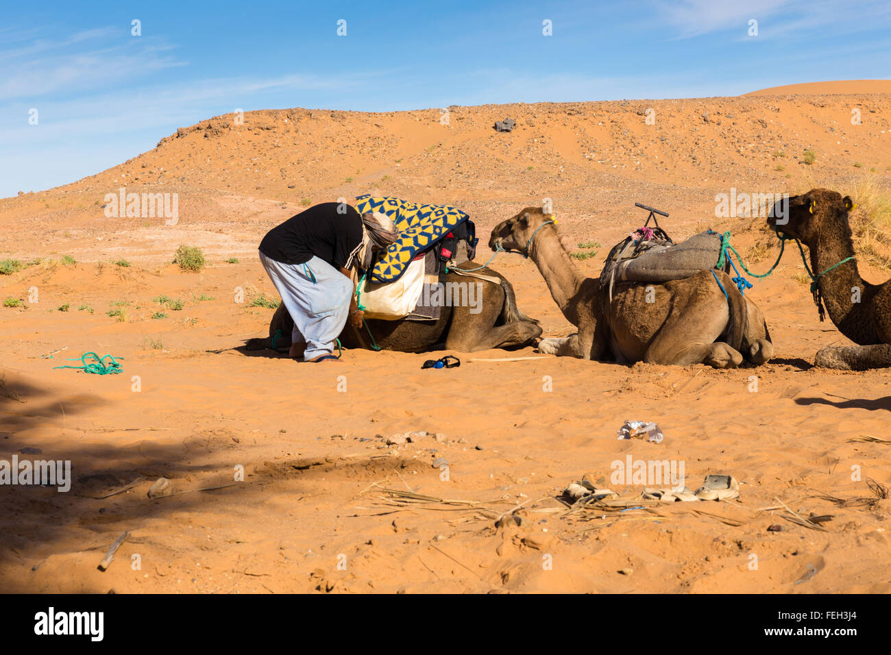 Le berbère est la préparation d'une caravane dans le chemin Banque D'Images