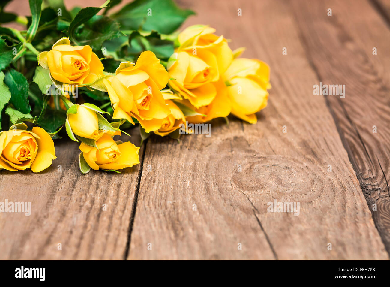 Roses jaunes sur un fond de bois. Journée de la femme, Saint Valentin, fête des Mères. L'espace de copie, selective focus Banque D'Images