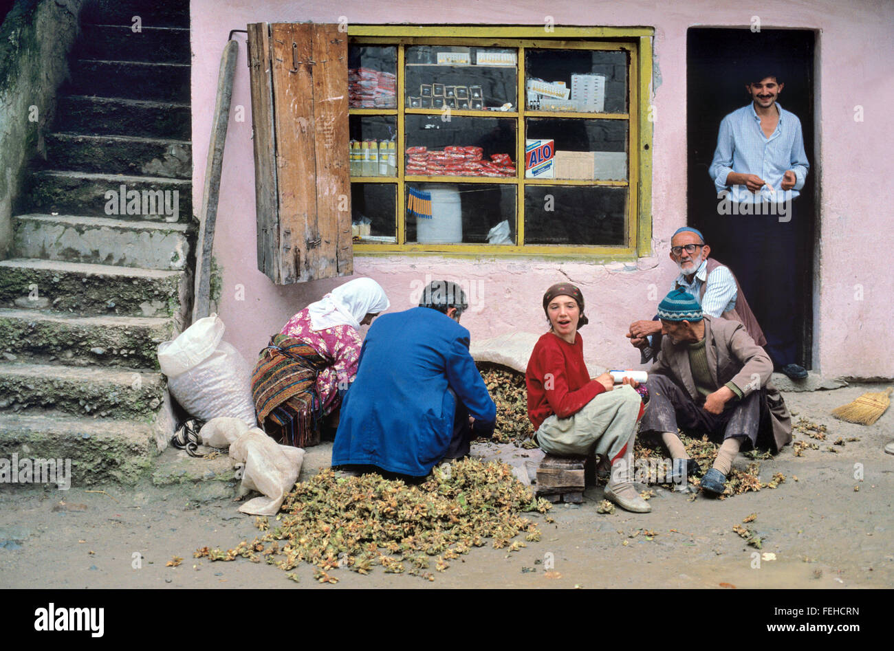 Trier les villageois la récolte de noisettes dans le village de Kuskoy Giresun, Province, Région de la mer Noire, au nord-est de la Turquie Banque D'Images